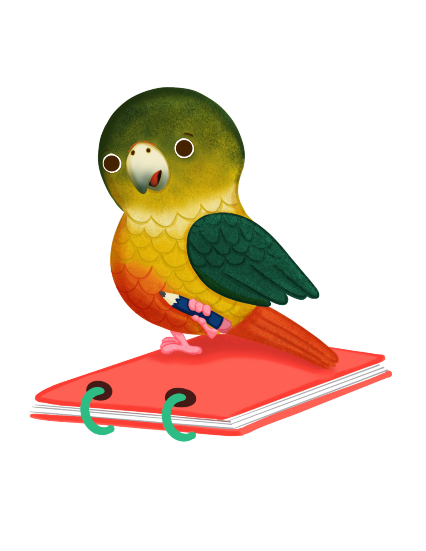 Izzy the Conure- Diecut Sticker